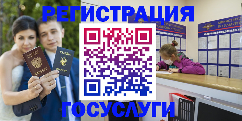 прописка поиск в Чудово